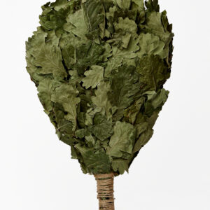 Веник дубовый