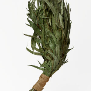 Веник эвкалиптовый